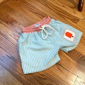 Smock into me popsicle smocked swim trunks size 2t